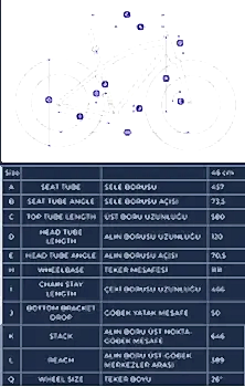2025 BISAN SAVAGE FT1 DEORE FAT BIKE DAĞ BİSİKLETİ - 3