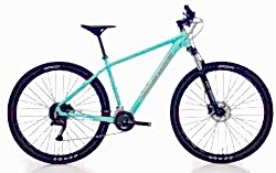 2026 BIANCHI MAGMA 29S CUES DAĞ BİSİKLETİ - BIANCHI 